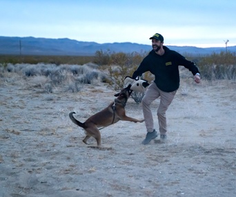 Une scène du film Dog
