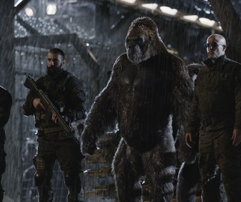 Une scène du film War for the Planet of the Apes