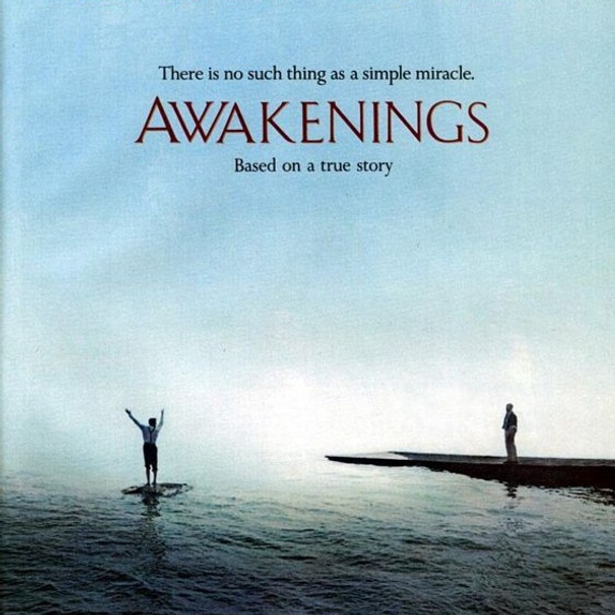 Affiche du film Awakenings