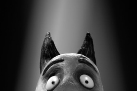 Une scène du film Frankenweenie Une scène du film Frankenweenie
