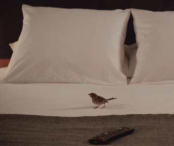 Une scène du film Bird People
