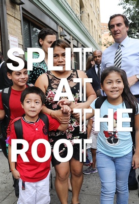 Split at the Root