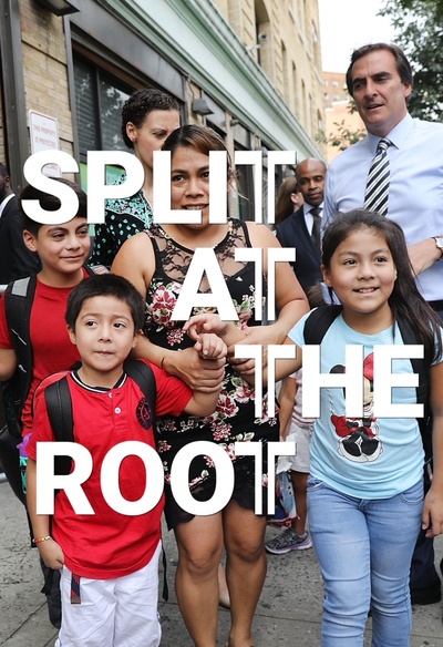 Image film Split at the Root