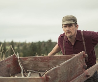 Une scène du film Maudie
