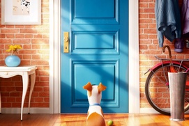 Affiche du film The Secret Life of Pets Affiche du film The Secret Life of Pets