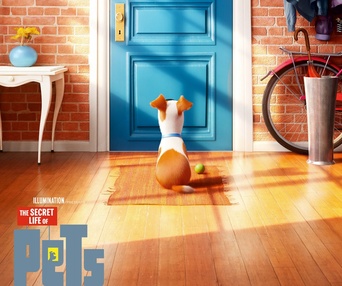 Affiche du film The Secret Life of Pets