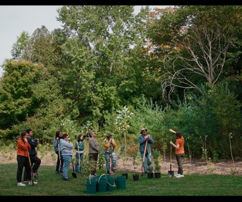 Images du film Forêts urbaines