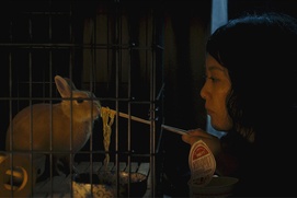 Une scène du film Kumiko, the Treasure Hunter