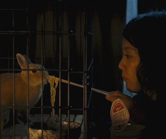 Une scène du film Kumiko, the Treasure Hunter
