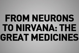 Images du film From neurons to nirvana: the great medicines