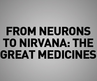 Images du film From neurons to nirvana: the great medicines