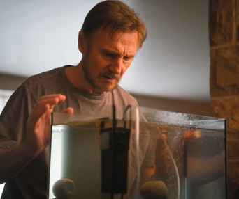 Une scène du film Ordinary Love