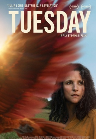 Tuesday
