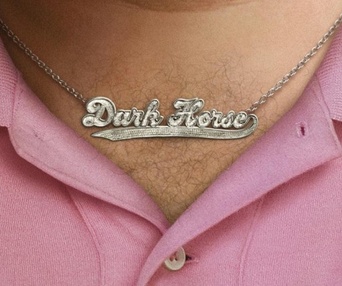 Affiche du film Dark Horse