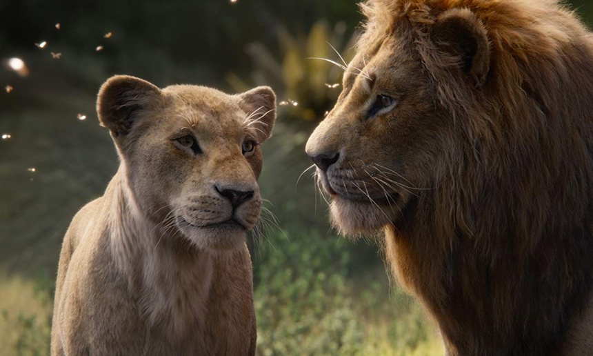 Découvrez de magnifiques images du Roi lion