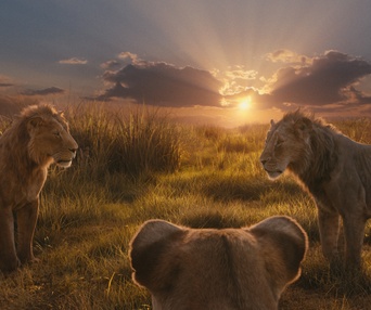 Une scène du film Mufasa: The Lion King