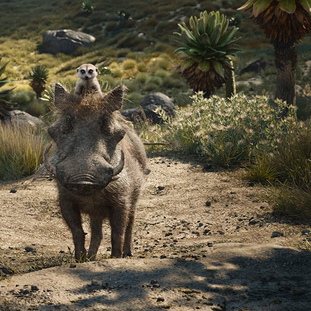 Une scène du film The Lion King