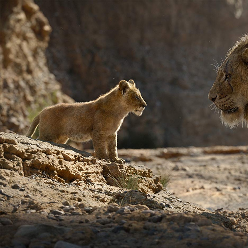Une scène du film The Lion King