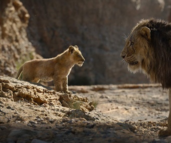 Une scène du film The Lion King