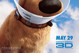 Affiche du film Up Affiche du film Up