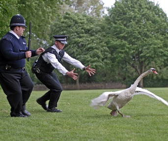 Scène du film Hot Fuzz