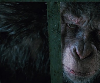 Une scène du film War for the Planet of the Apes
