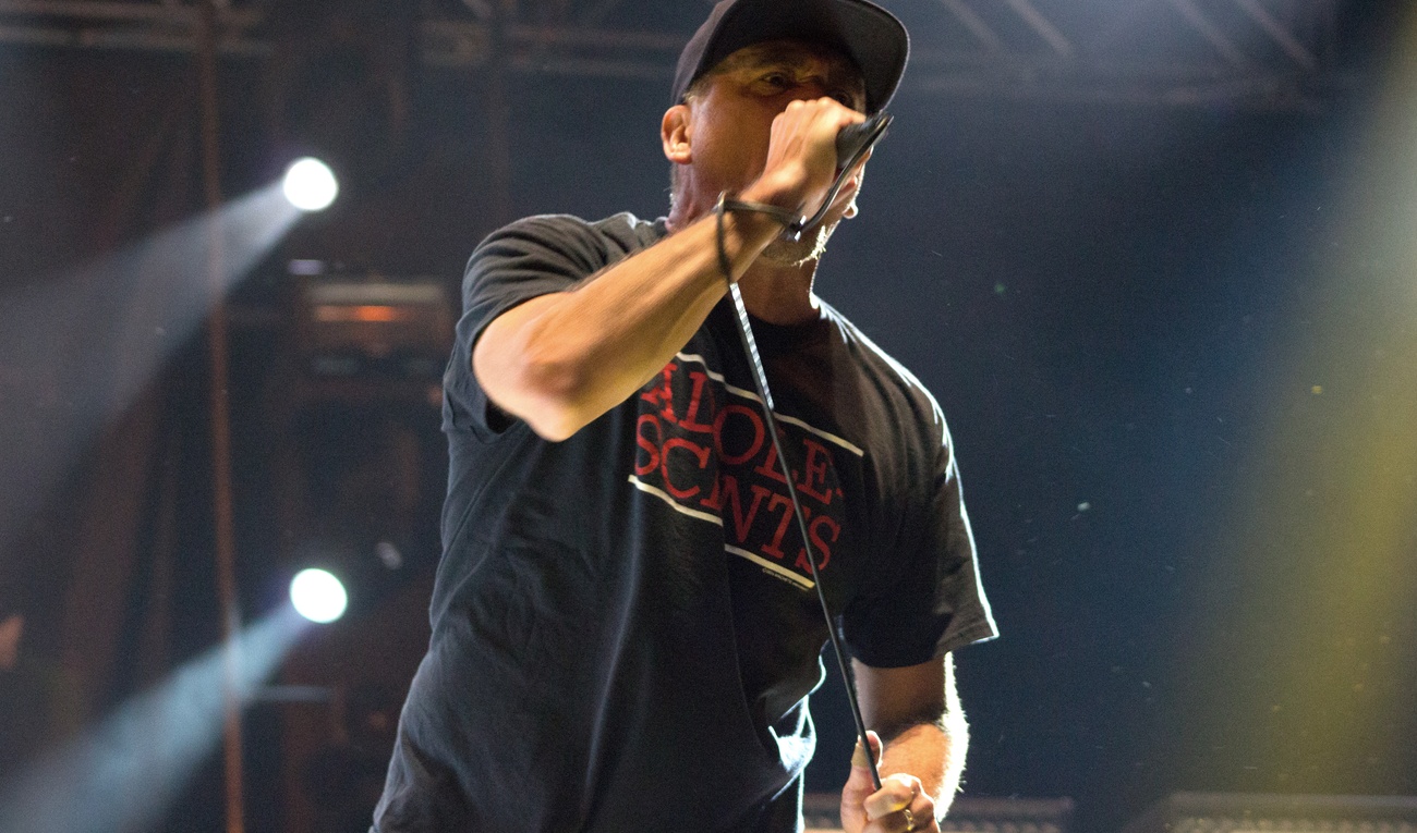 Festivent 2015 : Pennywise complètement survolté