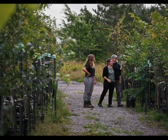 Images du film Forêts urbaines
