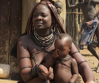 Image du film Les aventuriers voyageurs - Botswana-Namibie : de la brousse au désert