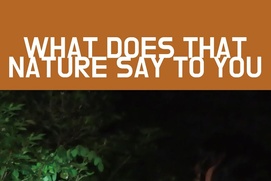 Image du film What Does That Nature Say to You
