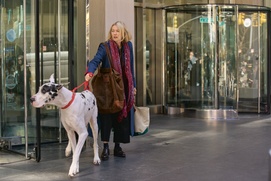 Images du film The Friend Images du film The Friend
