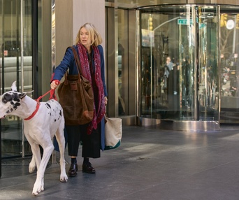 Images du film The Friend