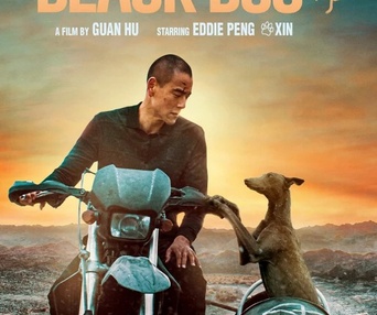 Image du film Le chien noir