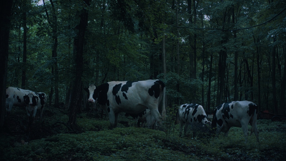 Images du film Ailleurs la nuit