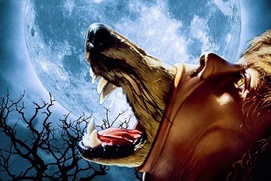 Image du film The Company of Wolves