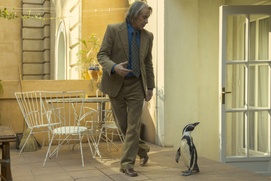 Images du film The Penguin Lessons