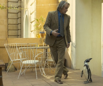 Images du film The Penguin Lessons