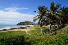 Image du film Les Aventuriers Voyageurs - Gino Chouinard : Les Îles de Guadeloupe Image du film Les Aventuriers Voyageurs - Gino Chouinard : Les Îles de Guadeloupe