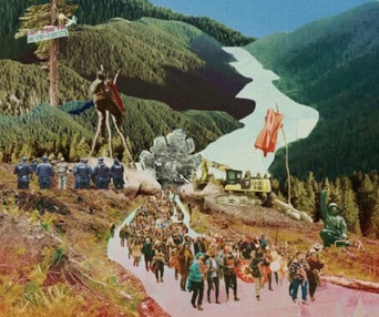 Image du film Fairy Creek