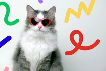 En thérapie avec mon chat