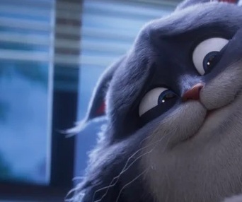 Images du film Charlie the Wonderdog