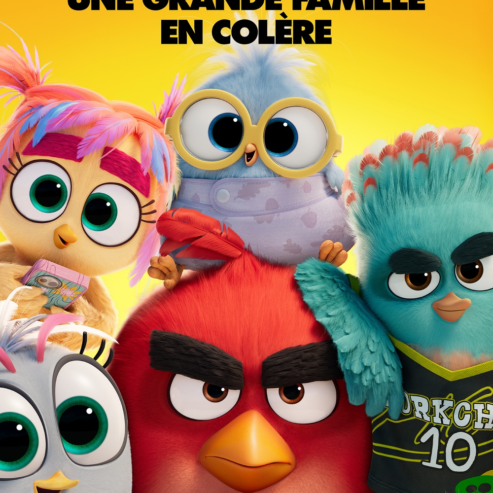 Image du film The Angry Birds 3