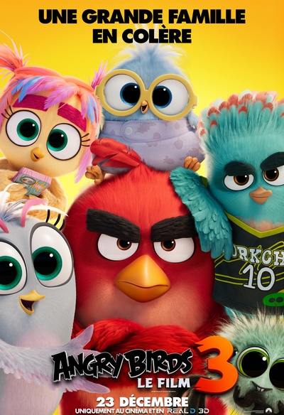 The Angry Birds Movie 3
