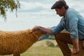 Images de The Sheep Detectives Images de The Sheep Detectives