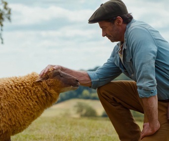 Images de The Sheep Detectives