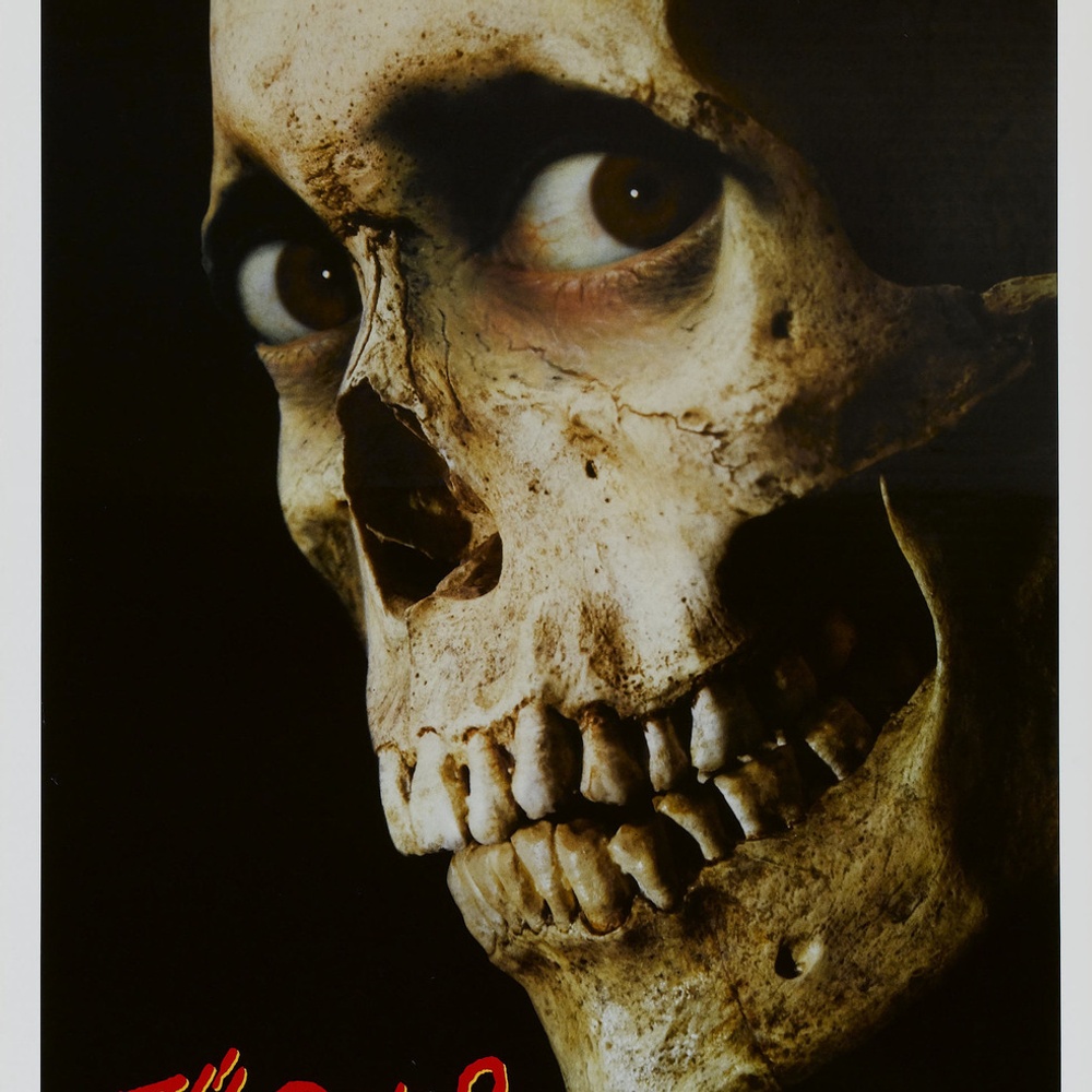 Image du film Evil Dead II