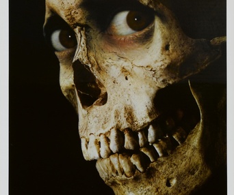 Image du film Evil Dead II