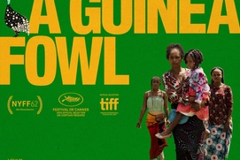 Image du film On Becoming a Guinea Fowl&nbsp;