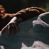 Une scène du film <em>Dark Nature</em>