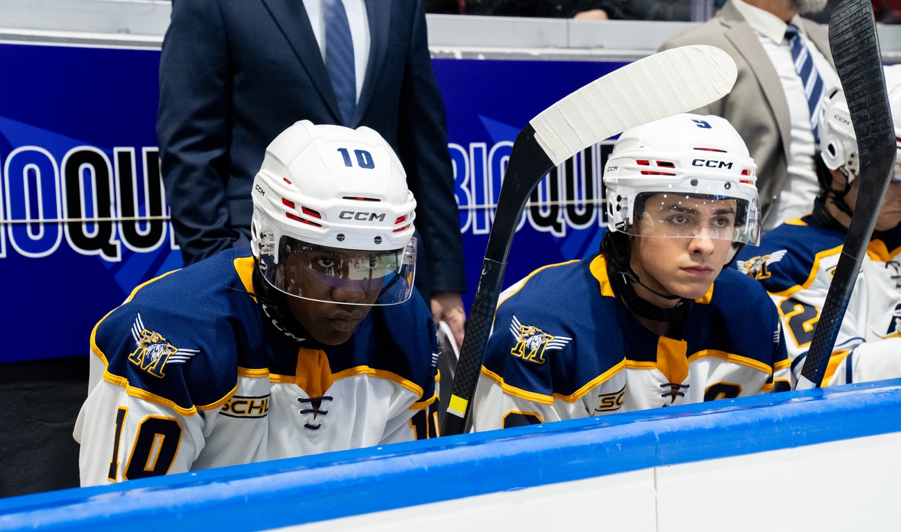 Image de l'article Le film culte Youngblood renaît : voyez la bande-annonce du remake avec Henri Picard